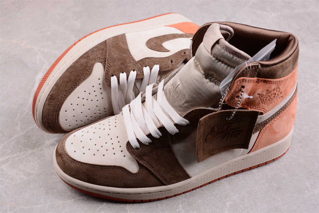 Jordan 1 Retro High OG SP Dusted Clay FQ2941-200