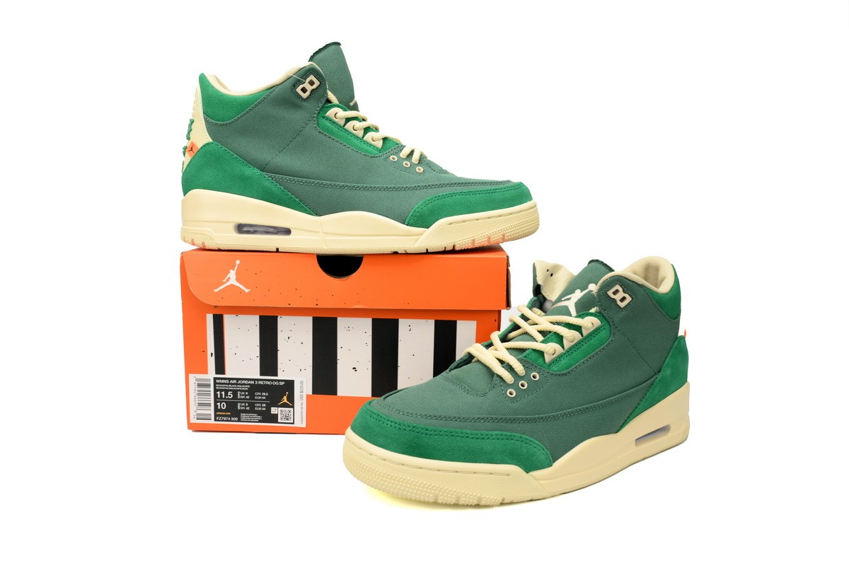 jordan 3 retro sp nina Ch*el abney bicoastal (women