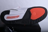 Jordan 3 Retro Infrared 23 136064-123