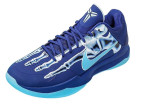 Nike Zoom Kobe 5 Protro “X-Ray” HJ4303-400