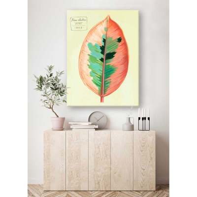 Leaf Series - Ficus Elastica Ruby