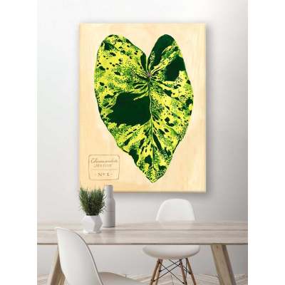 Leaf Series - Colocasia Esculenta Mojito