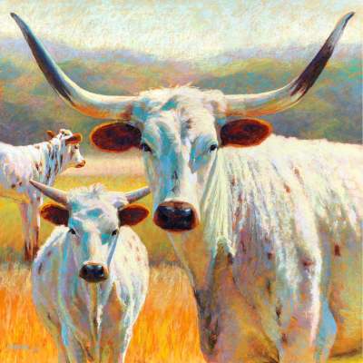 Pastoral Portraits - Look Of The Longhorn Canvas Wall Art