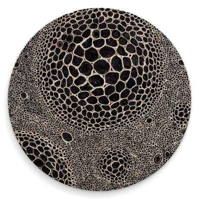 Black And White - 2 Coasters
