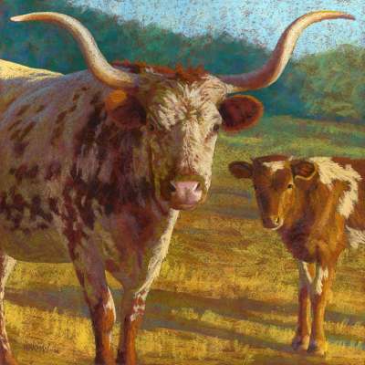 Pastoral Portraits - Curious Cattle Canvas Wall Art