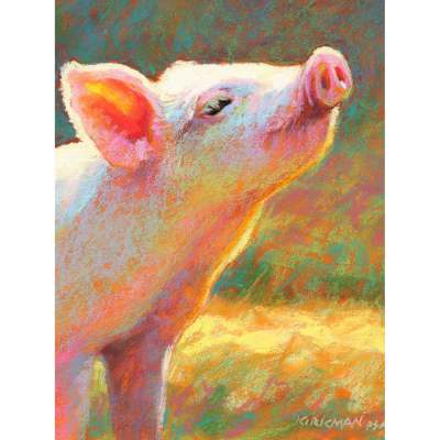 Pastoral Portraits - Pink Piglet Canvas Wall Art