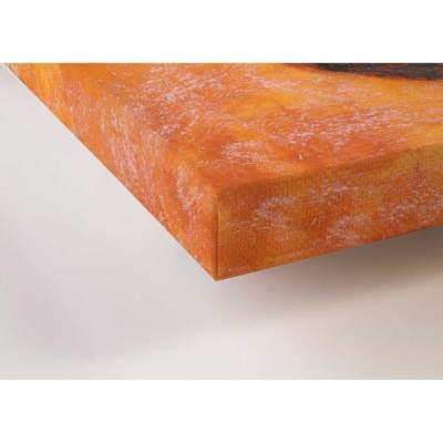 Restful Kangaroo Canvas Wall Art