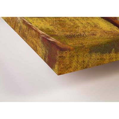 Pastoral Portraits - Curious Cattle Canvas Wall Art