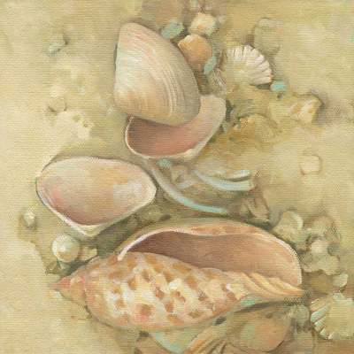 Island Shelling II Canvas Wall Art