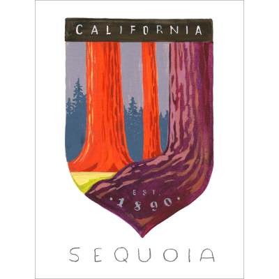 National Parks - Sequoia Canvas Wall Art