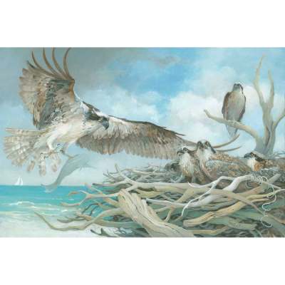 Osprey's Family Affair Canvas Wall Art