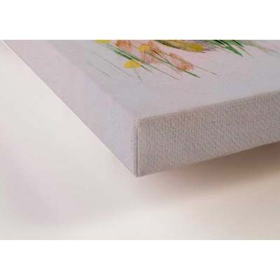 Ethereal Pink Peacock Canvas Wall Art