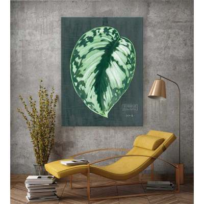 Leaf Series - Scindapsus Pictus Exotica