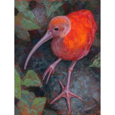 Color Among The Leaves Canvas Wall Art