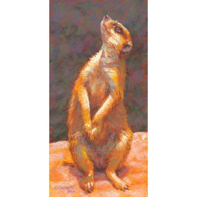 Suricata Suricatta Canvas Wall Art
