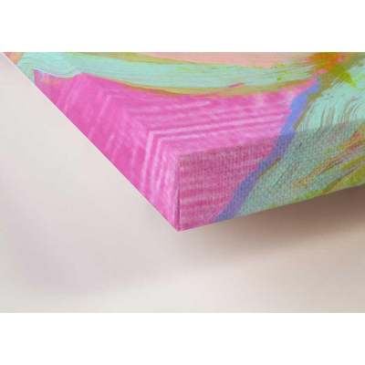 Hummingbird In Pink 1 Canvas Wall Art