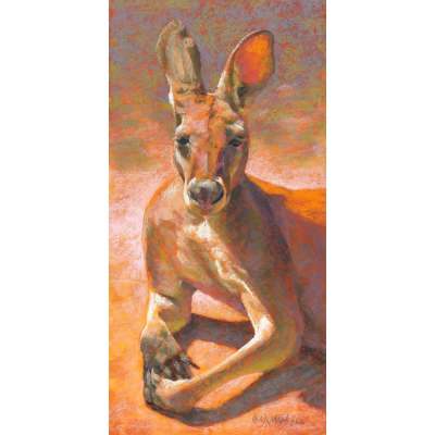 Restful Kangaroo Canvas Wall Art