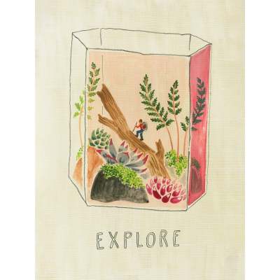 Terrarium Pink Canvas Wall Art
