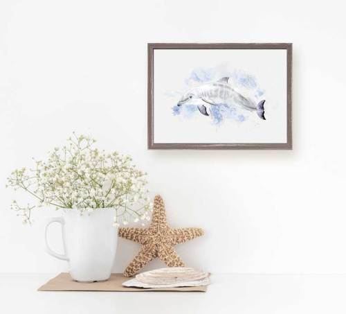 Baby Dolphin Portrait Mini Framed Canvas