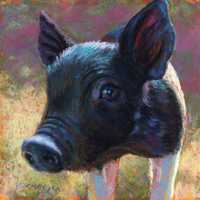 Pastoral Portraits - Black & White Piglet Canvas Wall Art