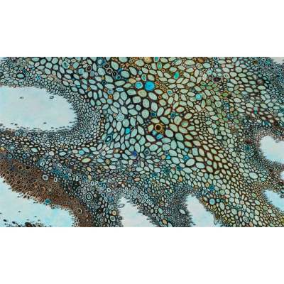 Deck Series 4 Canvas Wall Art