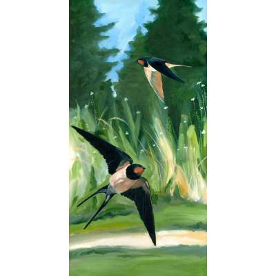 Avian Spotlight - Barn Swallows Canvas Wall Art