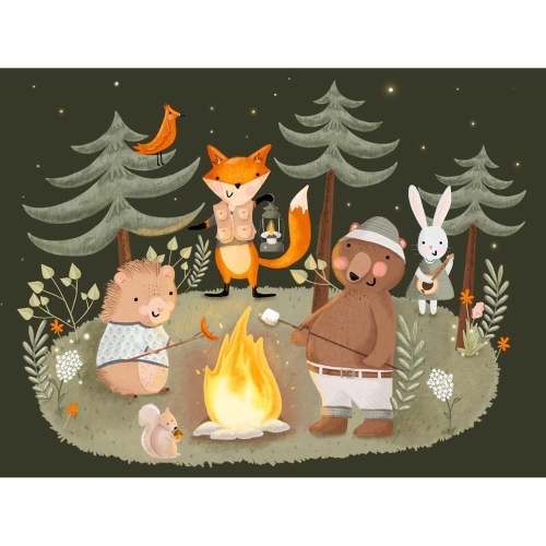 Wilderness Campfire - Night Canvas Wall Art