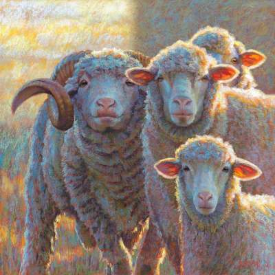 Pastoral Portraits - Herd On Alert Canvas Wall Art