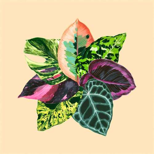 Leaf Series - Leaf Design