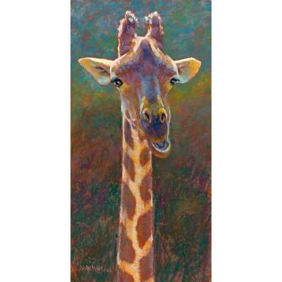 View From The Top Canvas Wall Art