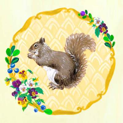Portraits Of The Woodland - Squirrel Canvas Wall Art