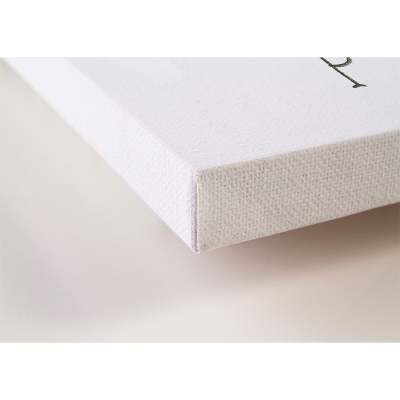National Treasure - Pisgah Canvas Wall Art
