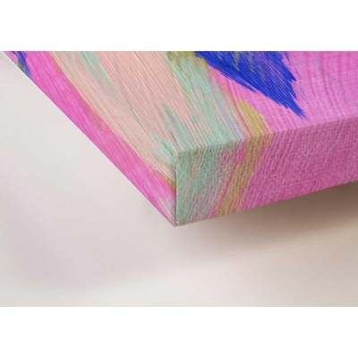 Hummingbird In Pink 2 Canvas Wall Art