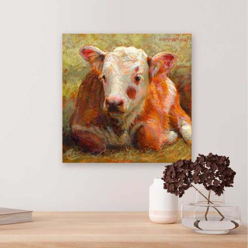 Pastoral Portraits - Resting Calf Canvas Wall Art