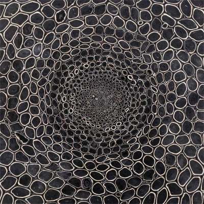 Black And White 3 Canvas Wall Art