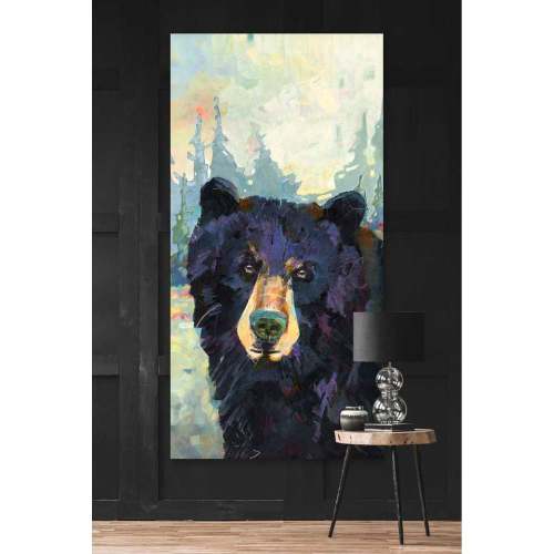 Bright Eyes, Black Bear Canvas Wall Art