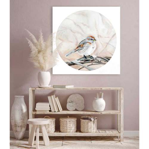 Avian Spotlight - House Sparrow Canvas Wall Art