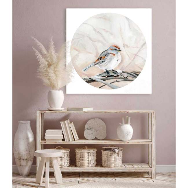 Avian Spotlight - House Sparrow Canvas Wall Art