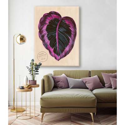 Leaf Series - Calathea Roseopicta Dottie