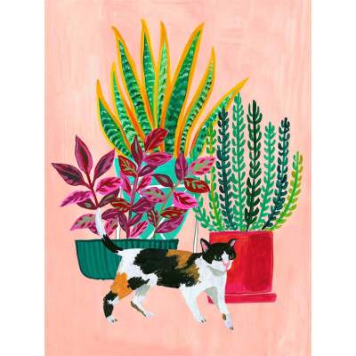 Explore Canvas Wall Art