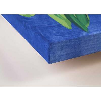 Ranunculus Canvas Wall Art