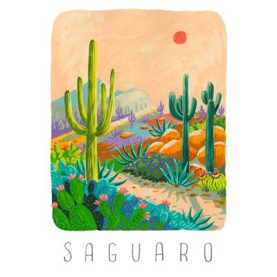 National Parks - Saguaro Canvas Wall Art