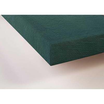 Seaweed Forest Canvas Wall Art
