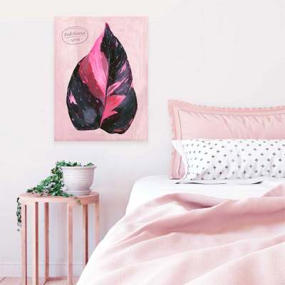 Leaf Series - Philodendron Pink Princess