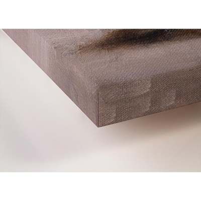 Figurative - Shop Till You Drop Canvas Wall Art