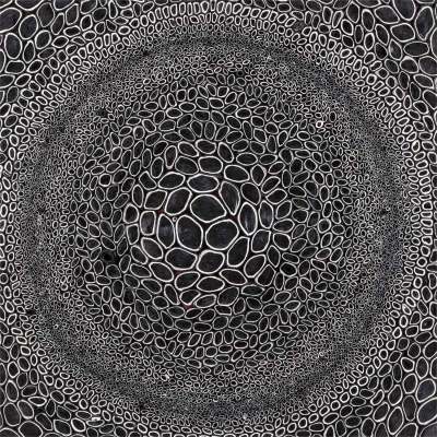 Black And White 4 Canvas Wall Art