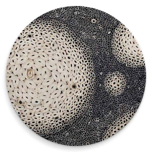 Black And White - 1 Coasters