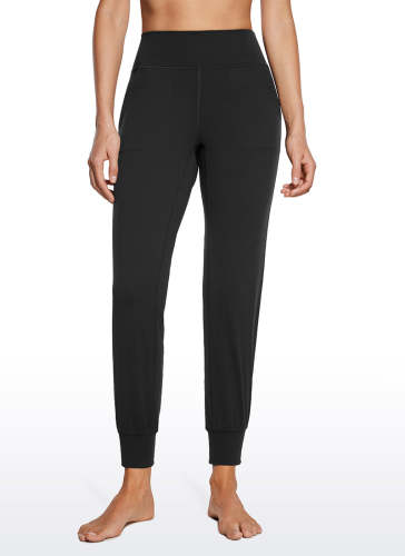 rs111pu1