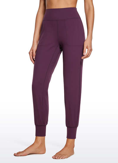 rs111pu1