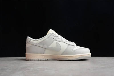 NIKE DUNK LIGHT DD1503-107
